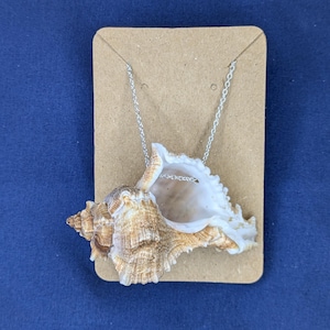 Brown And White Conch Shell Necklace