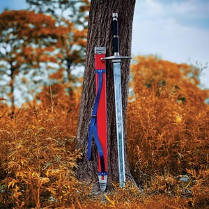 May include: A long, silver sword with a black handle and a red and blue sheath leans against a tree trunk. The sword is in a natural outdoor setting with autumn-colored foliage in the background.
