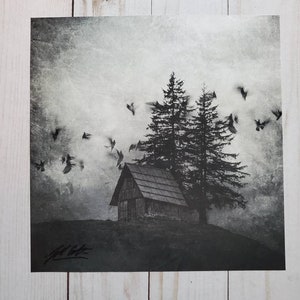 Cabine Art Print noir et blanc 8 x 8 forêt oiseau Art Spooky saison automne bois corbeau horreur Manfish Inc. livraison gratuite affiche impression