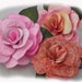 Reviewed by Anonymous reviewed Painted Roses for your cards, scrapbooking and other needs