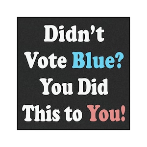 Didn&#39;t Vote Blue You Did This To You Funny Car Magnets Anti Trump Anti MAGA Have Day You Deserve Humorous Bumpers Resistance