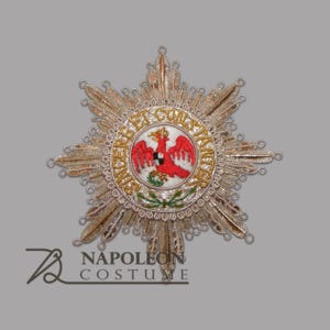 Puede incluir: Una insignia de plata en forma de estrella con un águila roja y letras doradas que dicen "SINCERET ET CONSTANS", rodeada de una corona de hojas verdes.