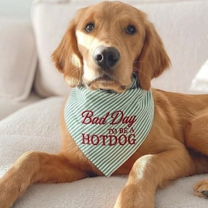 May include: A golden-colored dog wearing a triangular pet bandana featuring a green and white diagonal striped pattern. The bandana has the embroidered text "Bad Day TO BE A HOTDOG" in a dark red font centered on the front fabric surface.
