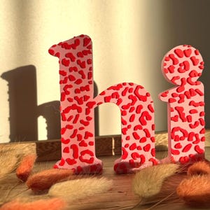 Op de afbeelding: Roze houten letters met een rood luipaardpatroon die "hi" spellen. De letters staan op een houten oppervlak met gedroogde bloemen op de voorgrond. De letters werpen een schaduw op de muur.