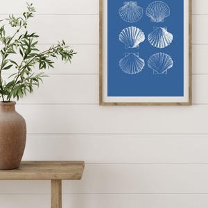 Minimalistic Blue and White Scallop Shell Illustration Digital Print
