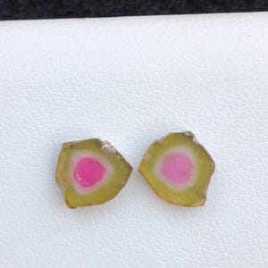 Amazing watermelon tourmaline slice good for making jewelry