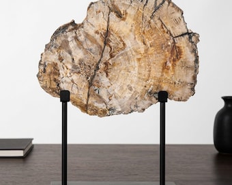 Petrified Wood Slice on Stand | Fossil Wood Display | Natural Home Decor | Unique Mineral Gift | 24x28cm Decorative Sculpture