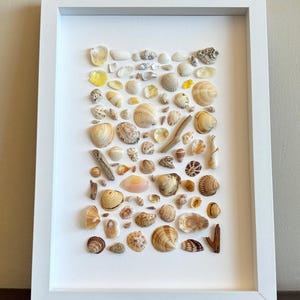 Imagem com elementos naturais do mar, decoração de parede com conchas, feito à mão, inspiração marinha, conchas, conchas, decoração natural