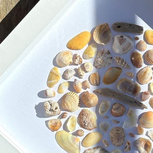Pintura Natural, Decoração de Parede com Sol, Elementos Naturais do Mar, Conchas, Feito à Mão, Inspiração Marinha, Sol, Conchas, Decoração Natural