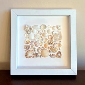 Fait main, Peinture naturelle, Décoratif, Éléments naturels de la mer, Coquillage, Inspiration marine, Coquillages, Décoration naturelle, Minimaliste, Mer