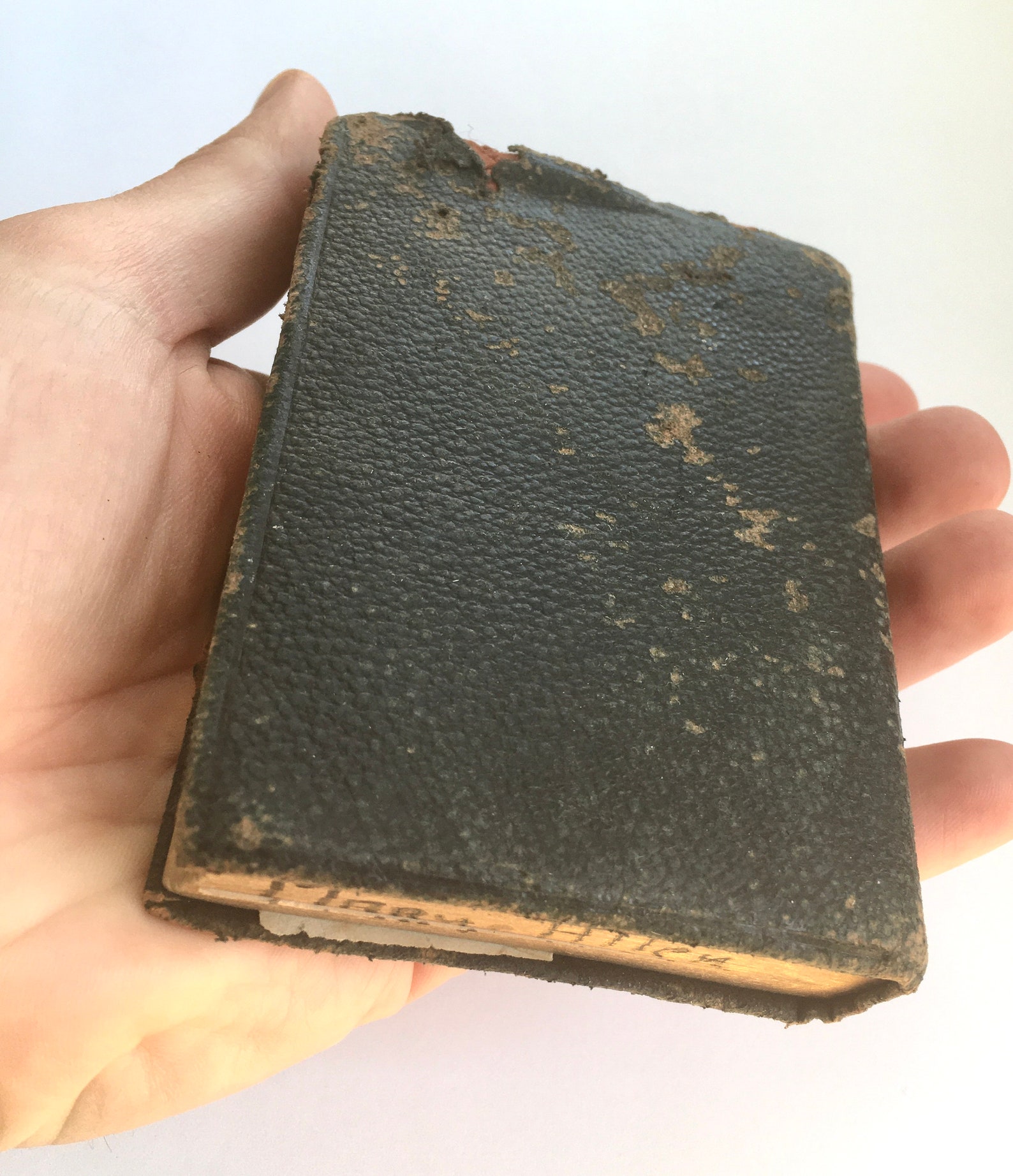 Vintage 1920s Small Pocket Bible Etsy