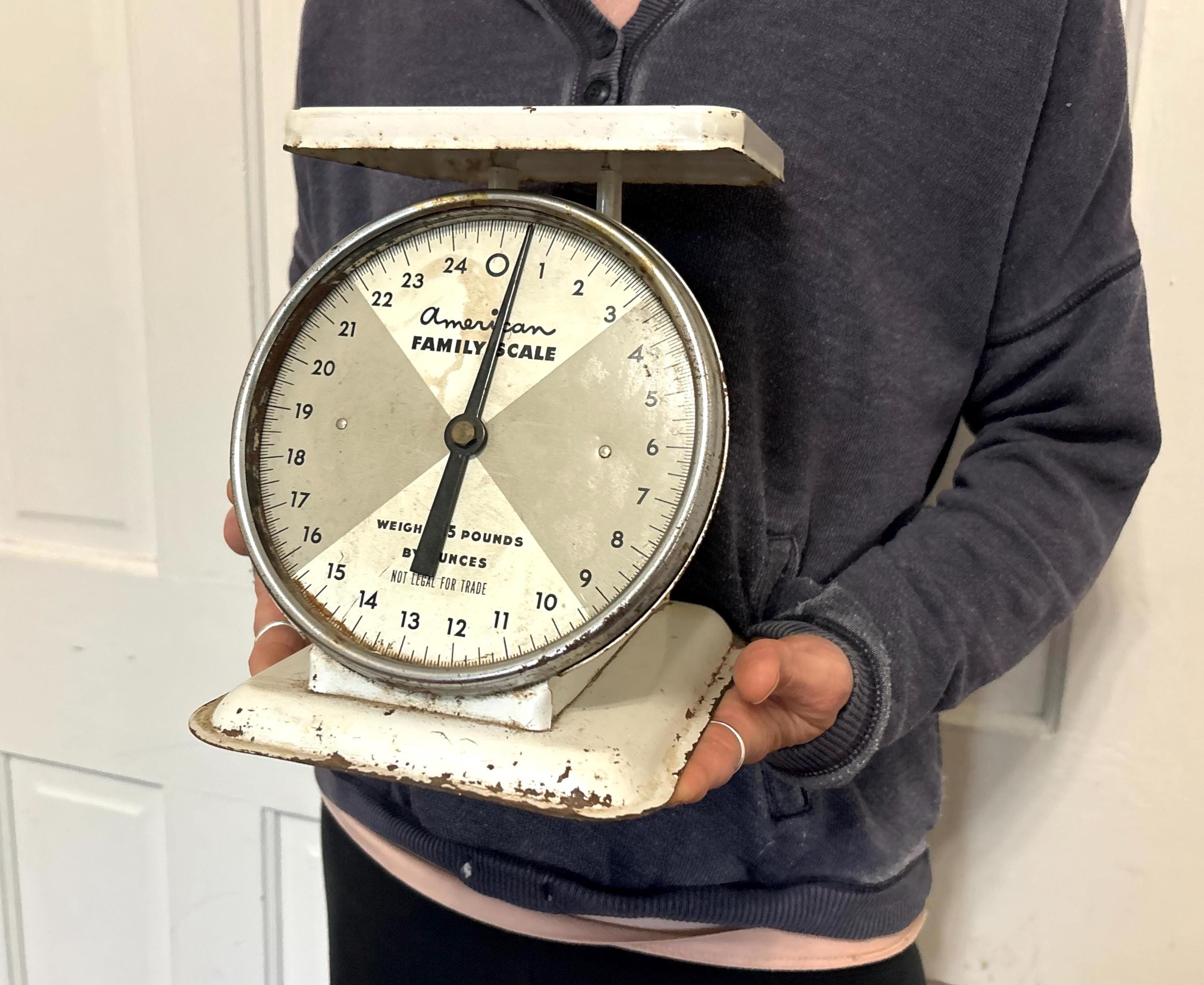 American Family Scale - Etsy