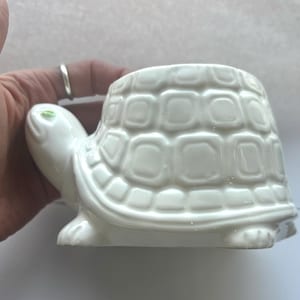 May include: A white ceramic turtle-shaped planter. The turtle has a detailed shell pattern and a small opening at the top for plants. The turtle has a green eye and is resting on a flat surface.