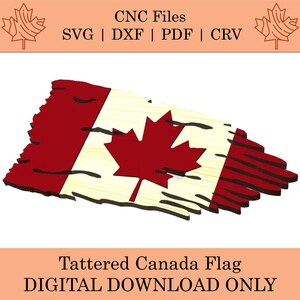 Puede incluir: Una bandera canadiense desgarrada con una hoja de arce roja sobre un fondo blanco. La bandera está desgastada y tiene un borde deshilachado. La bandera es una descarga digital.