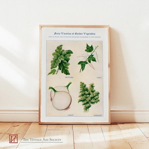 Kunstdruk tuingroentekaart: peterselie, mosterd, ui, okra, vintage groenteposter, Cottagecore-kunstwerk
