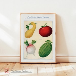 Vegetable Chart Retro Poster - Watermelon, Tomato, Turnip, Squash - Farmhouse Kitchen Decor - Vintage Veggie Poster -Cottagecore Art Hanging