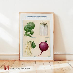 Stampa artistica di un orto retrò - Asparagi, barbabietole, carciofi e fagioli, decorazione da parete per la cucina, decorazione da parete per giardino di metà secolo