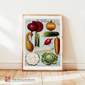 Arte de parede com gráfico de vegetais vintage, decoração de cozinha, impressões de arte de cozinha, impressão botânica, pôster de vegetais