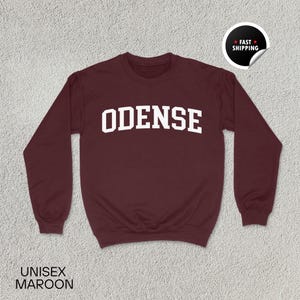 Odense Sweatshirt, Odense Shirt, Dänemark Geschenk, Odense Hoodie, Europa Reise T-Shirt, Odense Souvenir, Unisex Sweatshirt, Odense Denmark, Dänemark