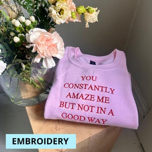 Könnte beinhalten: Rosafarbener Pullover mit rotem Sticktext, der "You constantly amaze me but not in a good way" lautet. Der Pullover ist gefaltet und liegt auf einer Holzoberfläche. Das Wort "STICKEREI" ist in Blau auf weißem Hintergrund unter dem Pullover gedruckt.