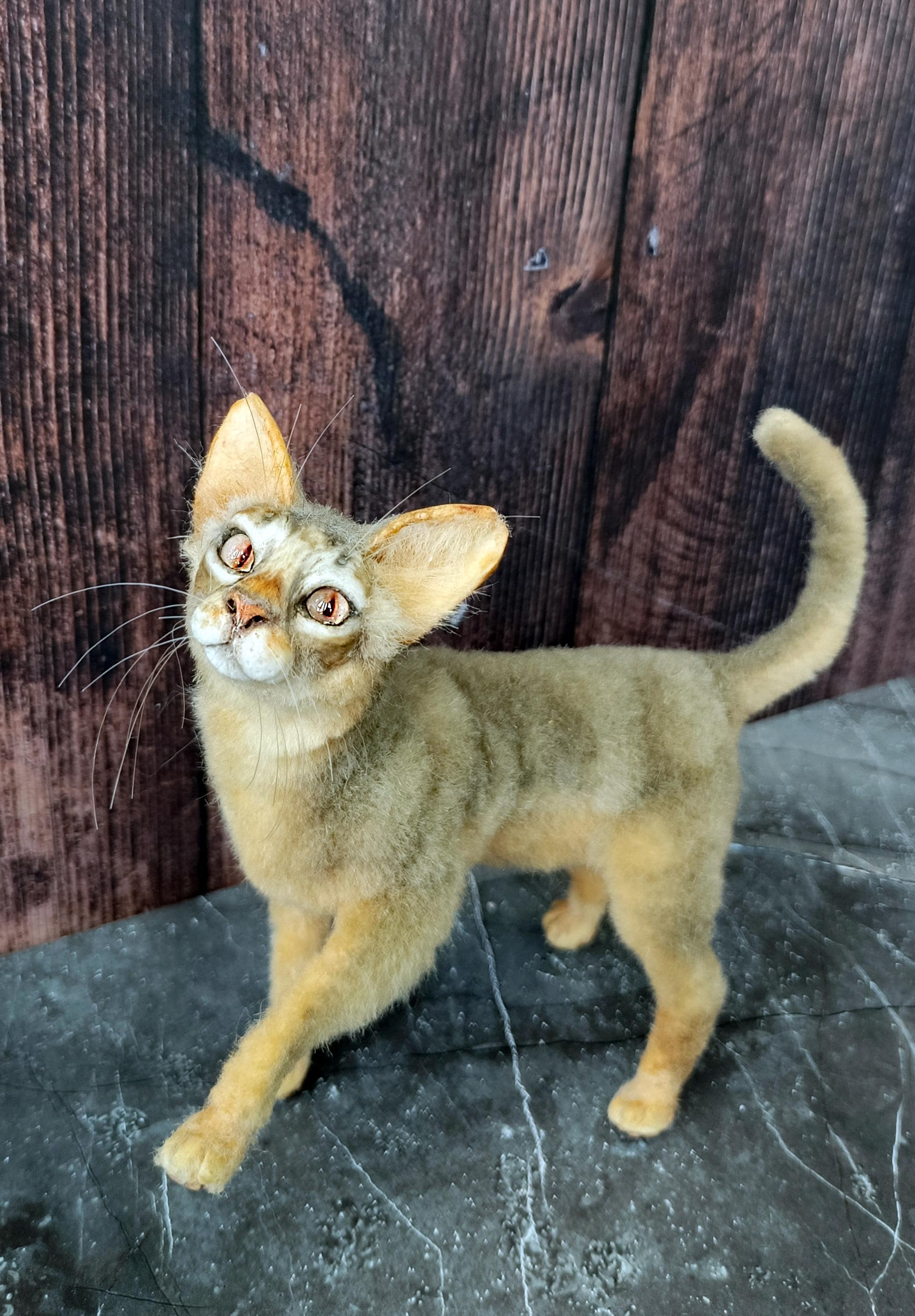 Reborn cat doll - Etsy 日本 Reborn cat doll - Etsy 日本