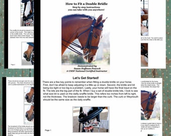 How to Fit a Double Bridle