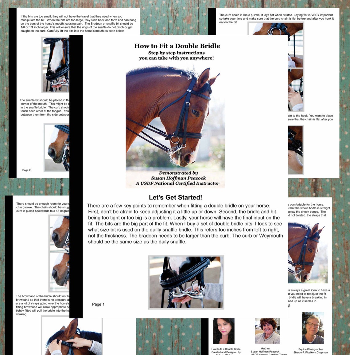 How to Fit a Double Bridle Etsy