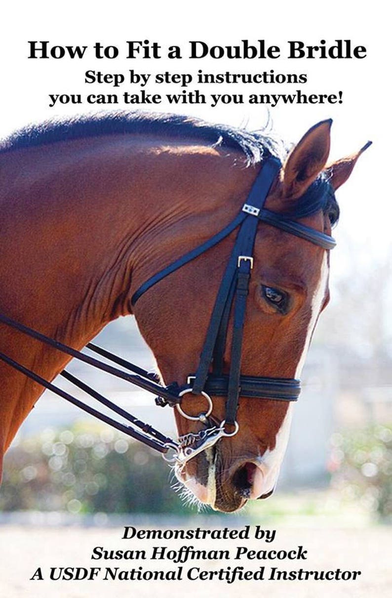 How to Fit a Double Bridle Etsy