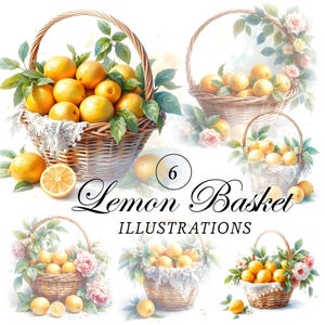 6 elegantes ilustraciones en acuarela de cestas de limones – Paquete de cosecha de cítricos mediterráneos
