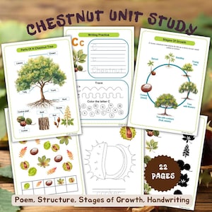 May include: A collection of educational printables for a chestnut unit study. The pages include diagrams of a chestnut tree, stages of growth, handwriting practice, and a counting activity. The text includes "Chestnut Unit Study", "Parts of a Chestnut Tree", and "22 Pages".