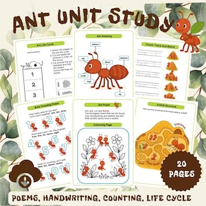 Ant Unit Study: Ant Poem, Ant Numbers Poem, Ant Life Cycle, Anthill Structure, Ant Anatomy, Handwriting. Montessori, Preschool Worksheets