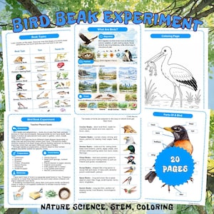 Peut inclure: Affiche éducative "Bird Beak Experiment" avec des diagrammes et des illustrations. Comprend des sections sur les types de becs, les habitats des oiseaux et une page à colorier. Comprend le texte "20 PAGES" et "NATURE SCIENCE, STEM, COLORING".