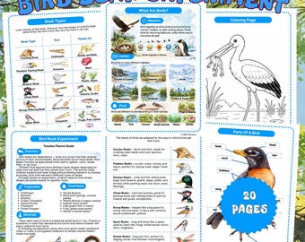 Bird Beak Experiment Worksheets. Montessori Bird Printable Science Activities for Kids. Homeschool Nature Unit. Coloring & Matching PDF
