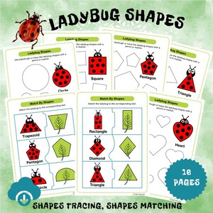 Ladybug Shapes Tracing Worksheets & Puzzles. Preschool Printable Activity. Basic Shape Tracing. Homeschool Worksheets, Kindergarten, Pre-K