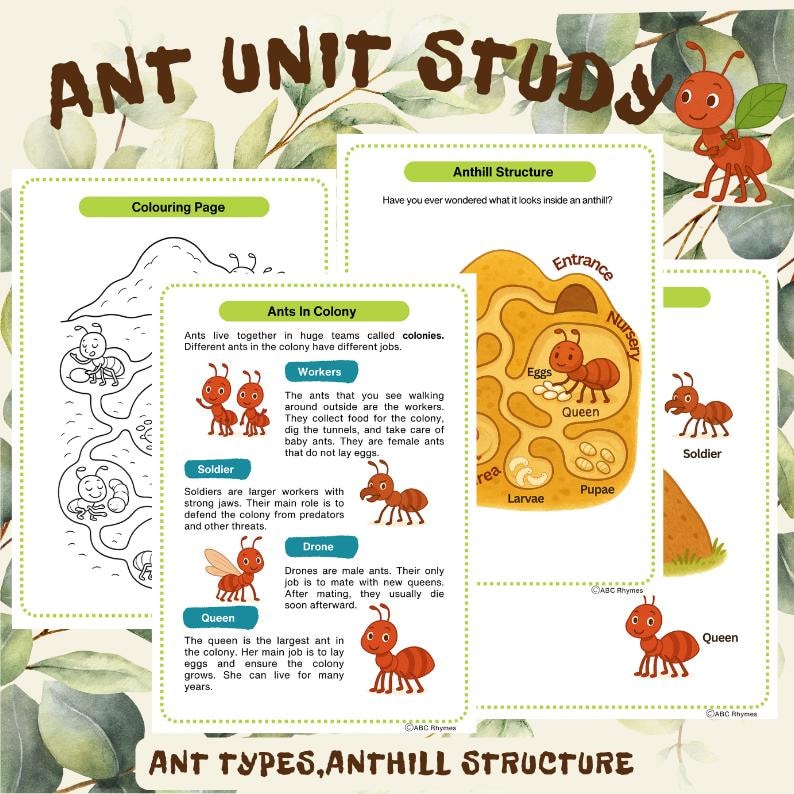 Ant Unit Study: Poem, Numbers Poem, Life Cycle, Anthill Structure ...