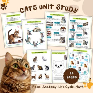 Katzen-Studium: Gedicht, Lebenszyklus, Anatomie, Mathematik, Präpositionen mit Kätzchen, Handschrift. Vorschule, Montessori (PDF-Download)