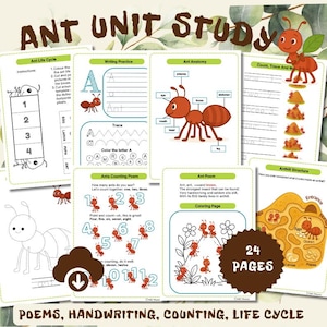Ant Unit Study: Poem, Numbers Poem,  Life Cycle, Anthill Structure, Anatomy, Handwriting. Montessori, Preschool Worksheets. INSTANT DOWNLOAD