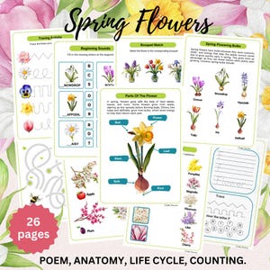 Spring Flowers Unit Study: Poem, Bulb Life Cycle, Daffodil Anatomy, Counting, Handwriting, Montessori, Nature Study, Homeschool Printable