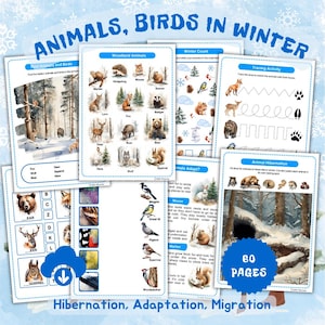 Animals and Birds in Winter: Hibernation, Migration, Adaptation Worksheets. Footprint Tracing Activity Pack. Montessori, Homeschooling PDF