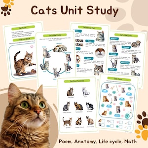 Katzengedicht, Katzenlebenszyklus, Körperteil der Katze, Mathe, Zählen, Präpositionen mit Kätzchen, Spielmatte, C wie für Katzenvorschule Aktivitätsblatt