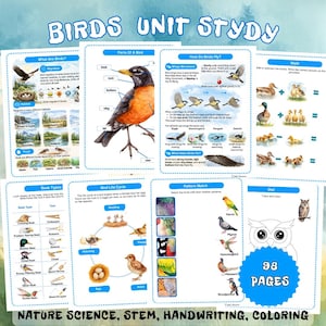 Unidad didáctica sobre aves: anatomía, especies y poemas. Hoja de trabajo sobre nidos para preescolar, PDF de caligrafía para educación en casa, cuaderno de trabajo imprimible Montessori sobre el ciclo de vida.