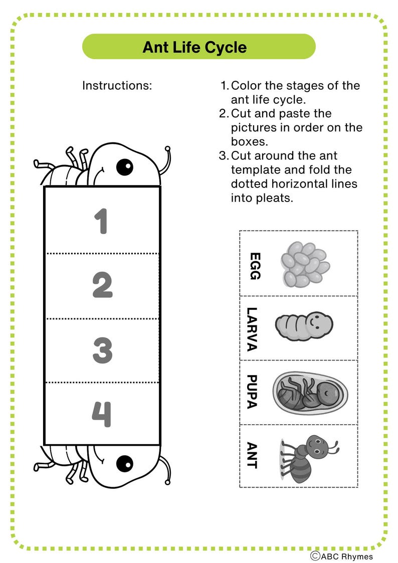 Ant Unit Study: Poem, Numbers Poem, Life Cycle, Anthill Structure ...