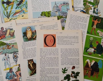 Vintage Book Pages / 1959 Golden Book Encyclopedia / 20+ double page spreads from 6 volumes / color illustration / paper pack / junk journal