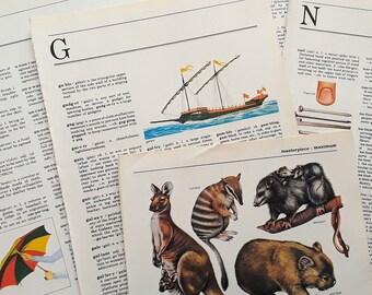 1978 Children's Dictionary Pages / 20 large illustrated pages / Octopus Books London / authentic ephemera / junk journal supply / old paper