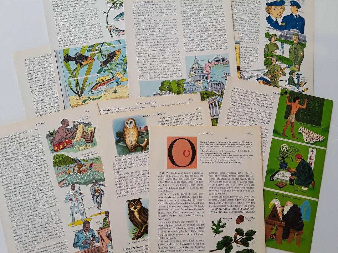 New❁︎在庫2  ヴィンテージ風ペーパー大　辞書・小説・洋書 1921 Dictionary Pages, 20 Antique English Dictionary Pages