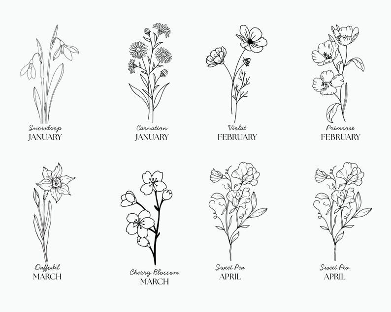 Op de afbeelding: Lijntekeningen van verschillende bloemen, elk met hun naam en de maand waarin ze bloeien. De bloemen omvatten sneeuwklokje, anjer, viooltje, primula, narcis, kersenbloesem en zoete erwt.