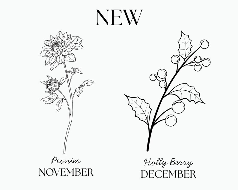 Op de afbeelding: Een zwart-witte lijntekening van een pioenroos met de tekst "Peonies NOVEMBER" eronder. Een zwart-witte lijntekening van een hulsttak met de tekst "Holly Berry DECEMBER" eronder. De tekst "NEW" staat bovenaan de afbeelding.
