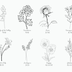 Op de afbeelding: Lijnkunst-illustratie van acht verschillende bloemen, die elk een andere maand van het jaar vertegenwoordigen. De bloemen zijn lelietje-van-dalen, meidoorn, roos, kamperfoelie, waterlelie, ridderspoor, klaproos en gladiool.