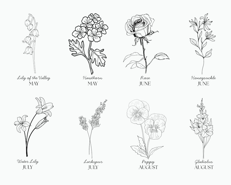 Op de afbeelding: Lijnkunst-illustratie van acht verschillende bloemen, die elk een andere maand van het jaar vertegenwoordigen. De bloemen zijn lelietje-van-dalen, meidoorn, roos, kamperfoelie, waterlelie, ridderspoor, klaproos en gladiool.