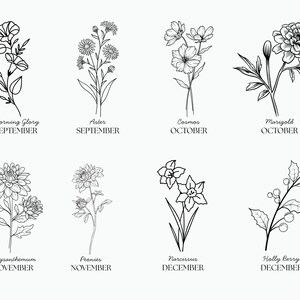 Op de afbeelding: Zwart-witte lijntekeningen van verschillende bloemen en planten, elk met de naam en de maand van bloei. De bloemen omvatten de ochtendglorie, de aster, de kosmos, de goudsbloem, de chrysant, de pioenroos, de narcis en de hulst.